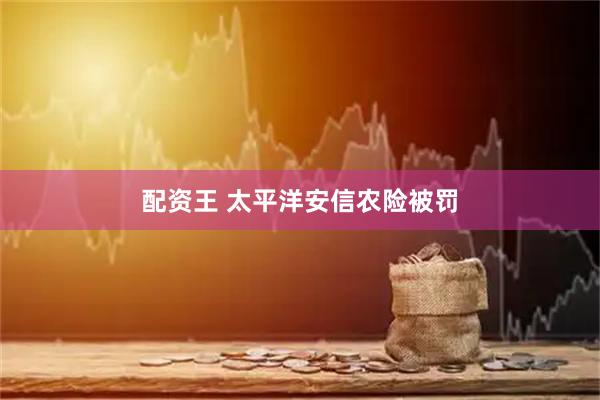 配资王 太平洋安信农险被罚