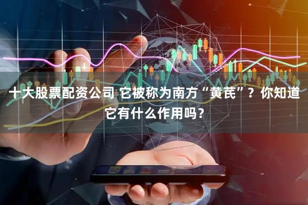 十大股票配资公司 它被称为南方“黄芪”？你知道它有什么作用吗？