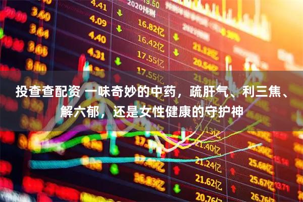 投查查配资 一味奇妙的中药,疏肝气、利三焦、解六郁,还是女性健康的守护神