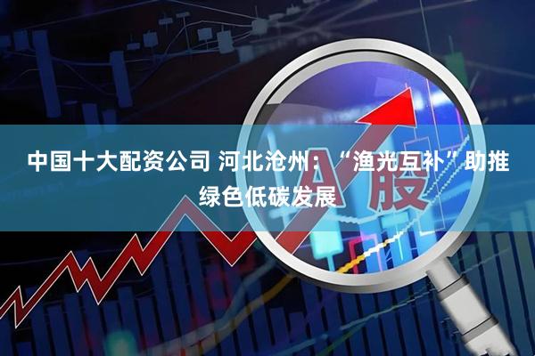 中国十大配资公司 河北沧州：“渔光互补”助推绿色低碳发展